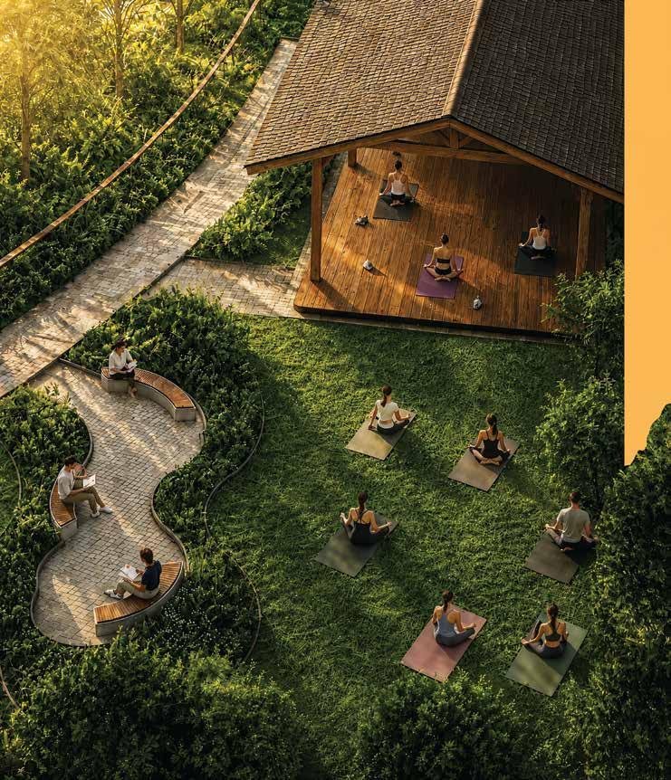 Yoga lawn and deck